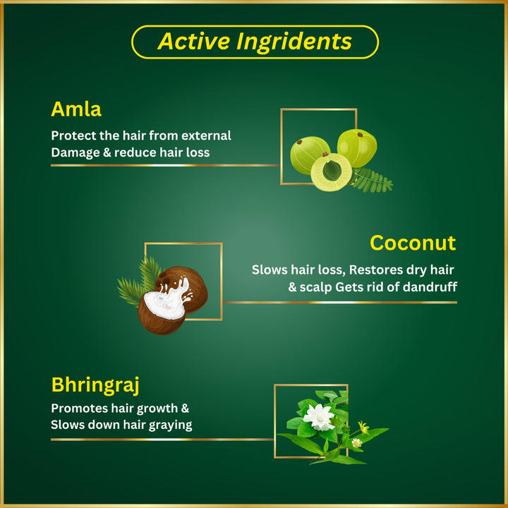 VARNIRAJ Ayurvedic Hair Growth Oil + Anti Dandruff Shampoo Combo Pack (500ml + 500ml)